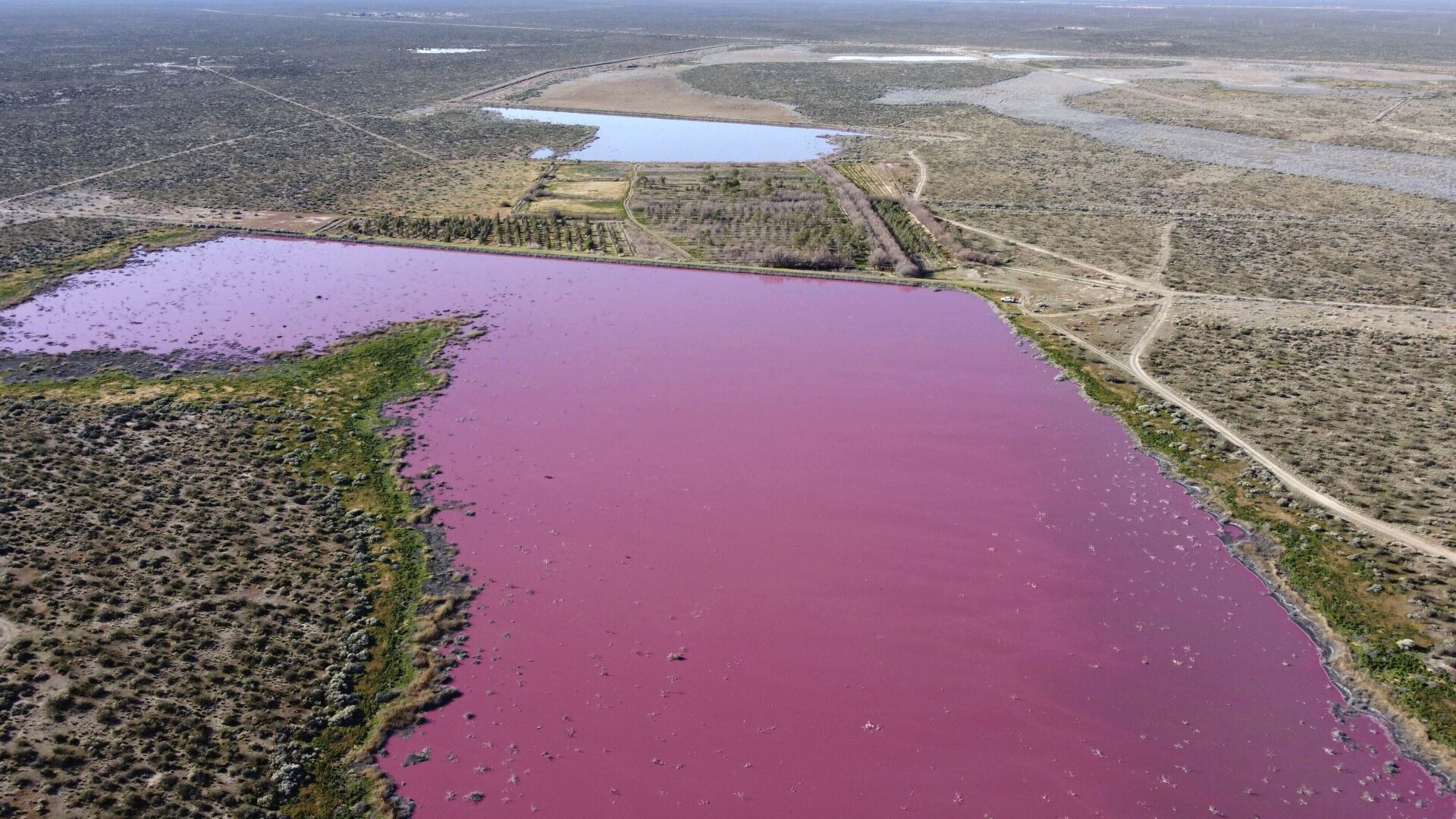 APTOPIX Argentina Pollution